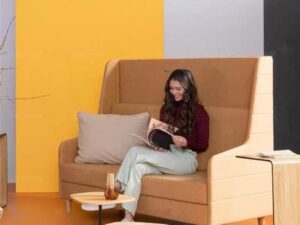 High Back Lounge Sofa | Private Reading & Meeting Sofa for Commercial Spaces